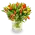 Kytice tulipánů